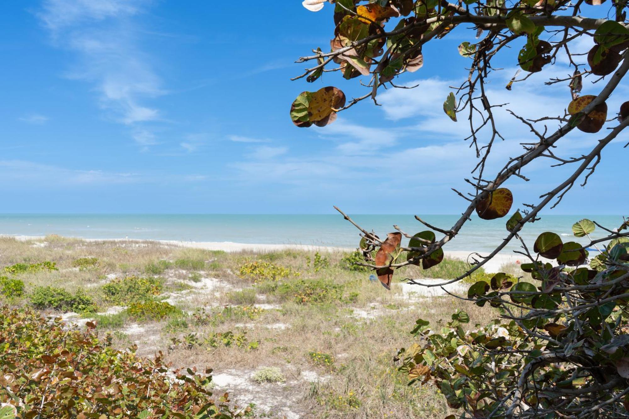Sole Suite #1-2 Min To Beach-Patio & Courtyard Cocoa Beach Extérieur photo